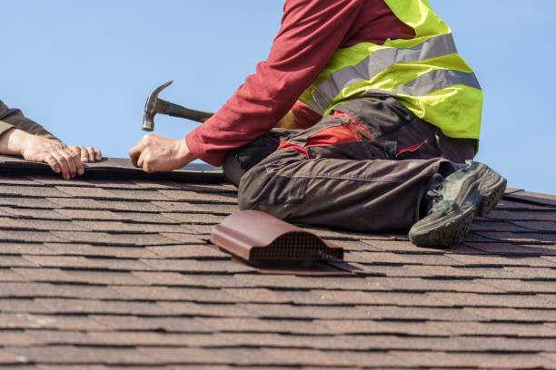 Best Roof Gutter Cleaning  in Vadnais Heights, MN