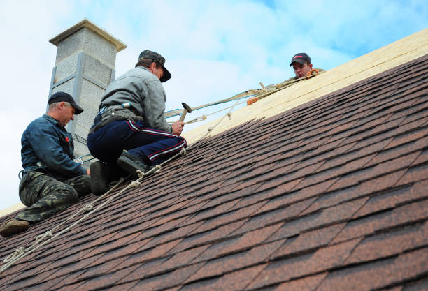 Best Roof Leak Repair  in Vadnais Heights, MN